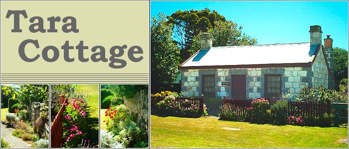 Collage of images including Tara Cottage