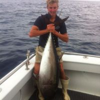 Never miss the tuna season